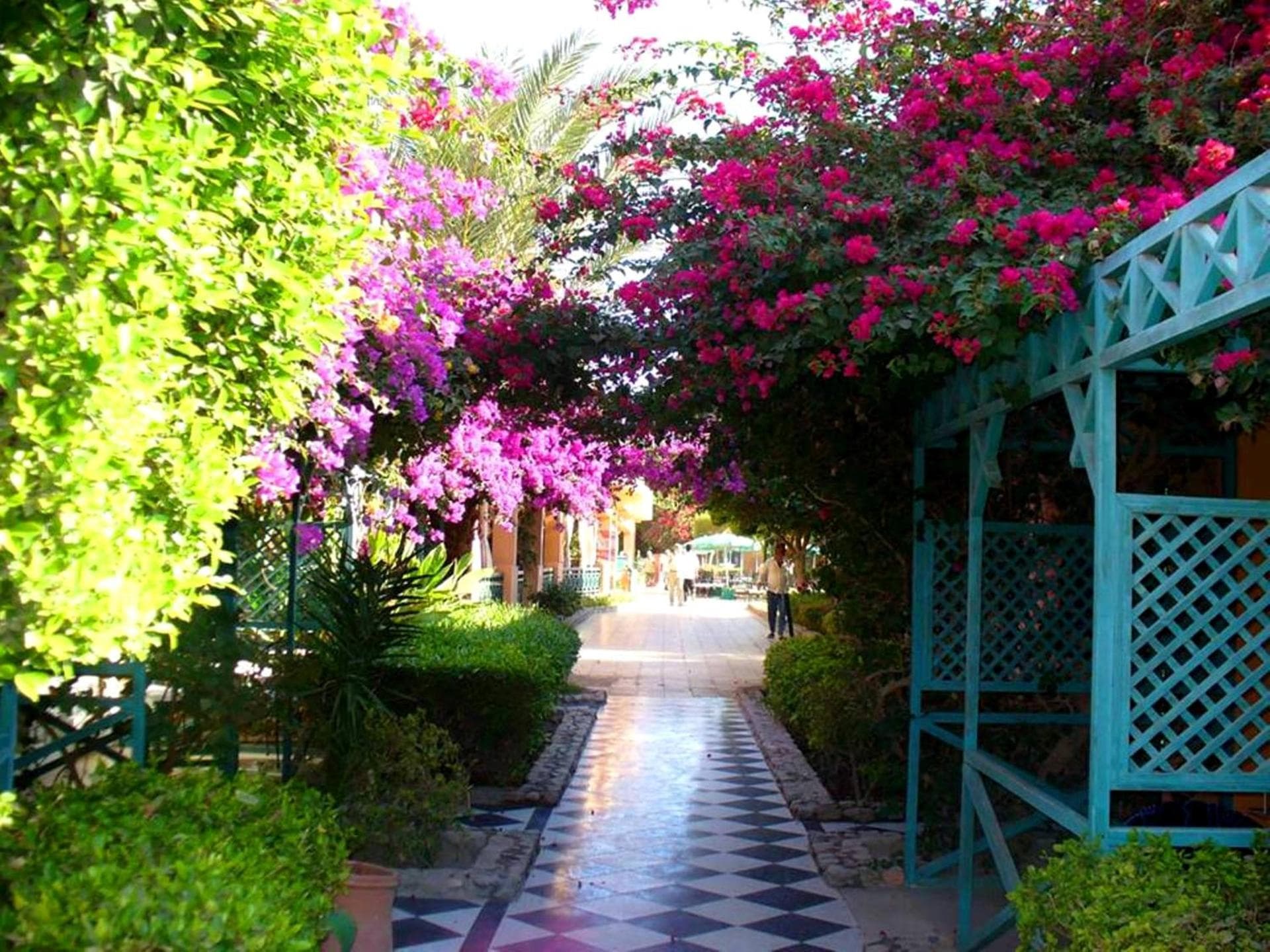 GIFTUN AZUR RESORT