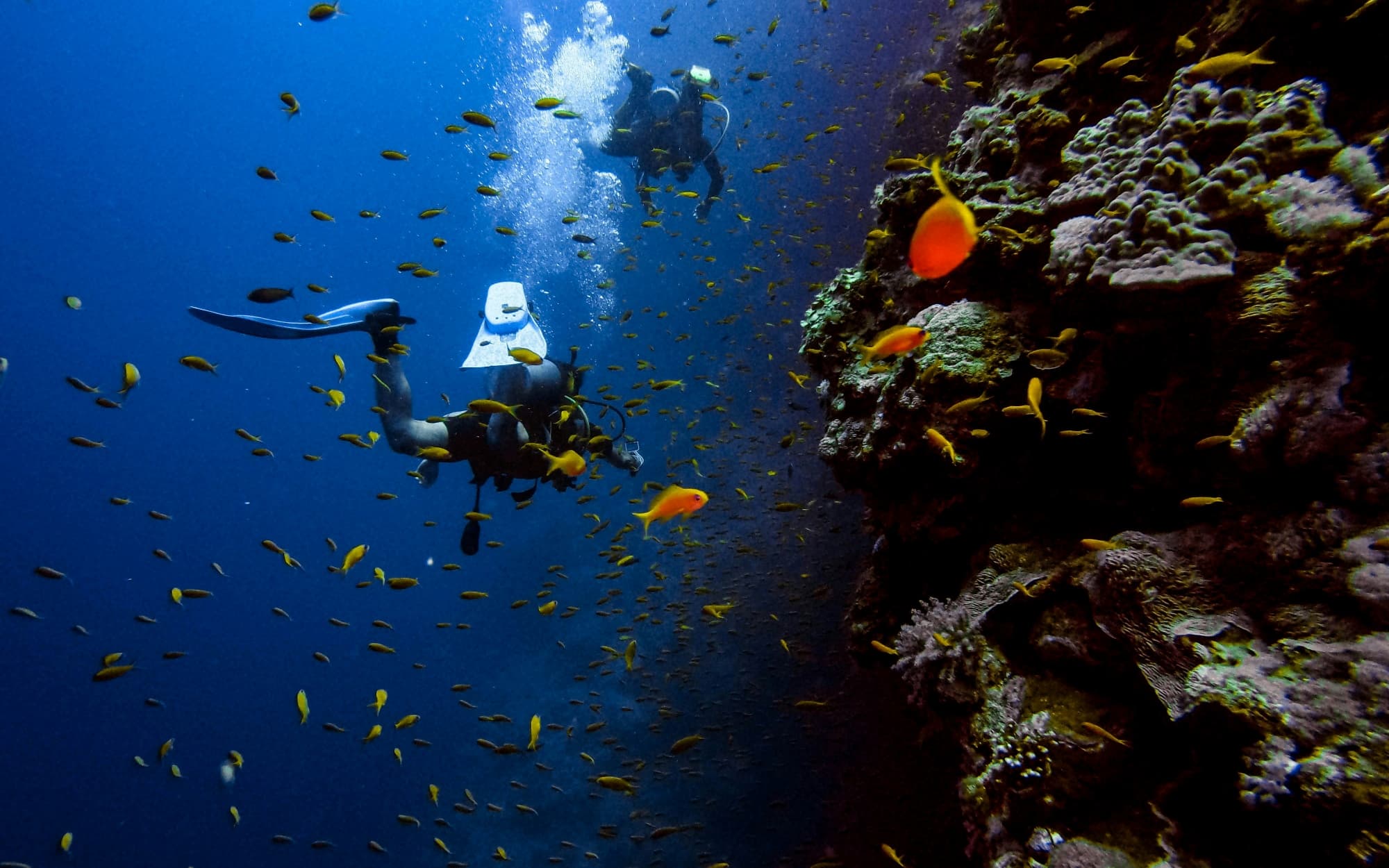 Diving