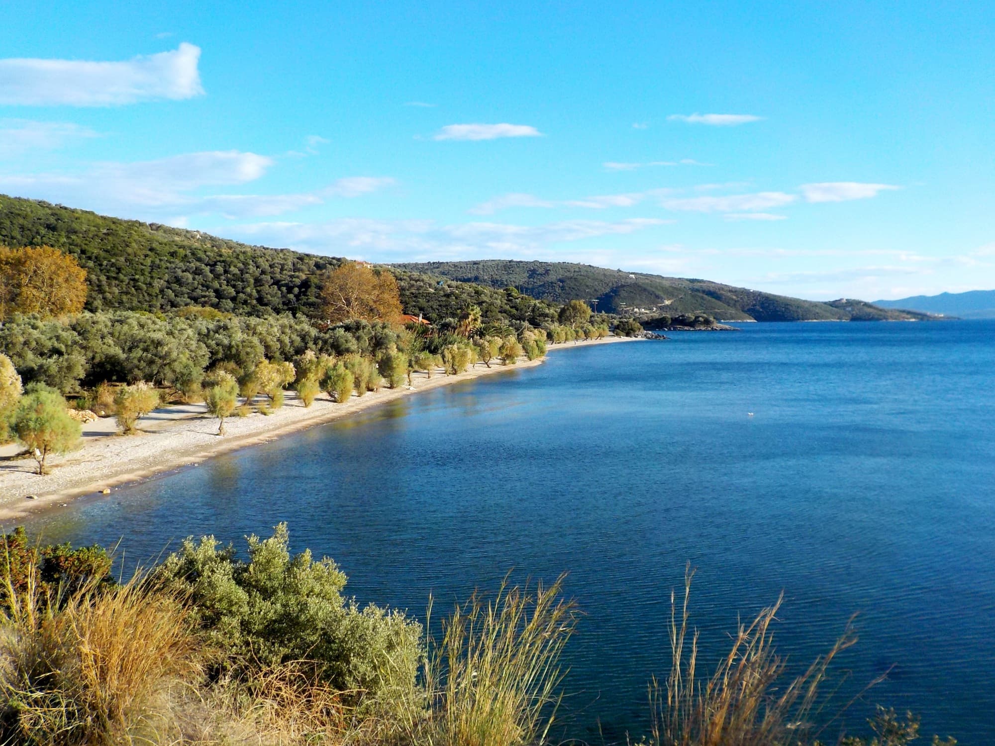 About Pelion