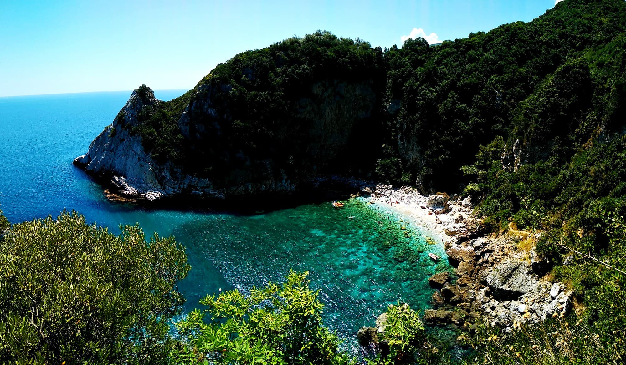 About Pelion
