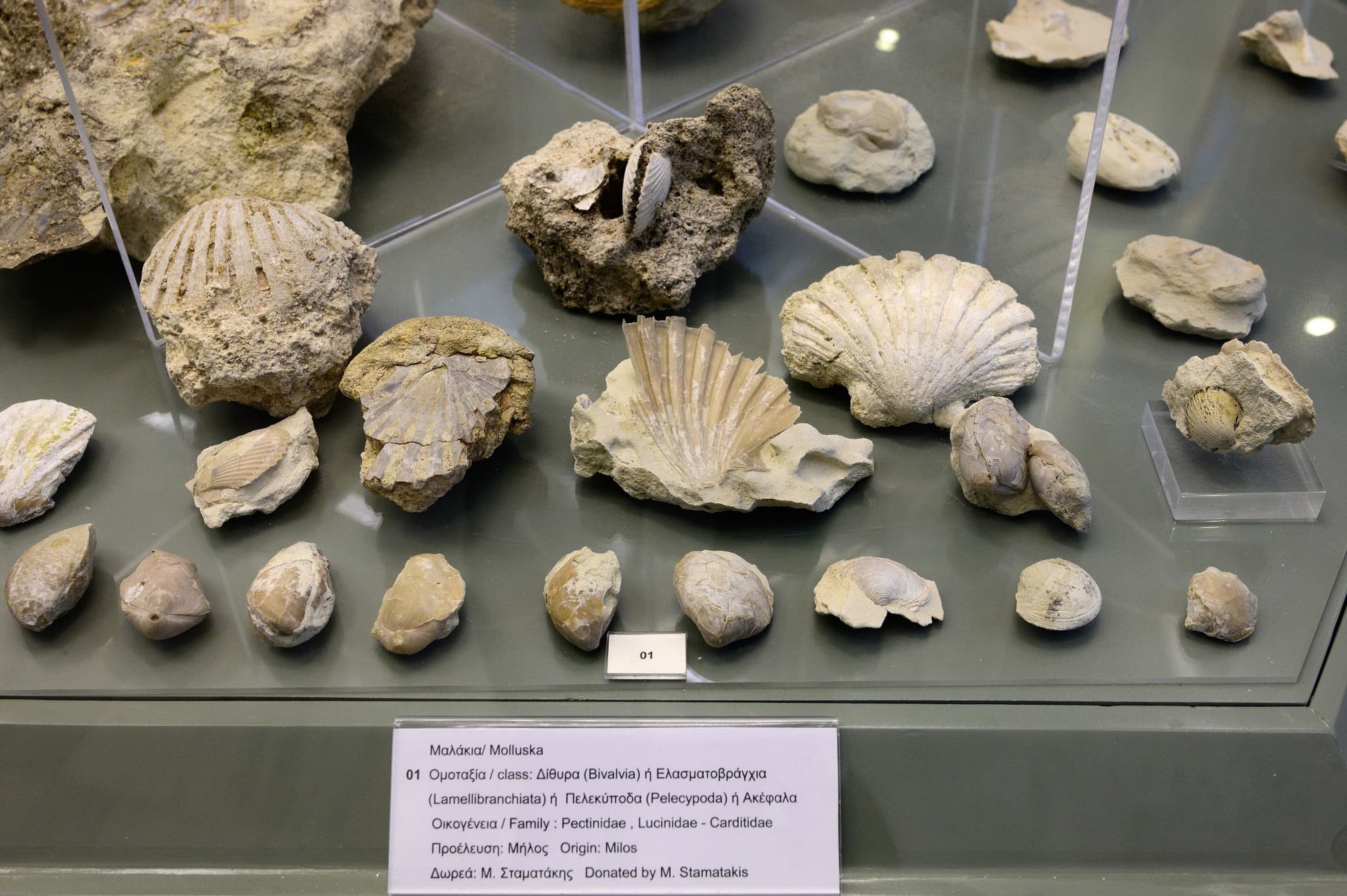 Museums