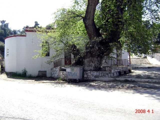 User Photo