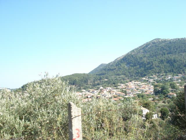 User Photo