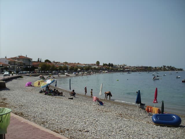 User Photo