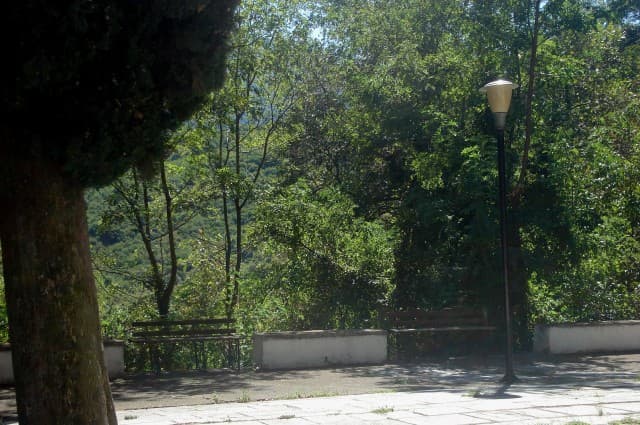 User Photo