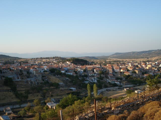 User Photo