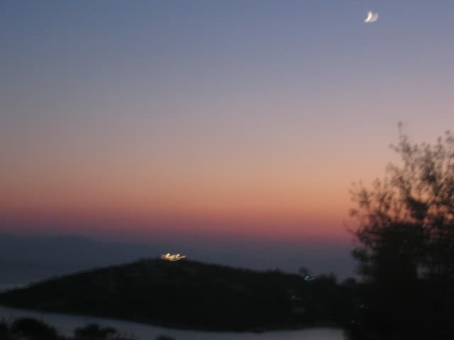 User Photo