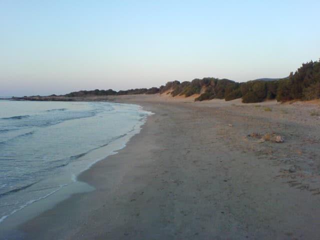 User Photo