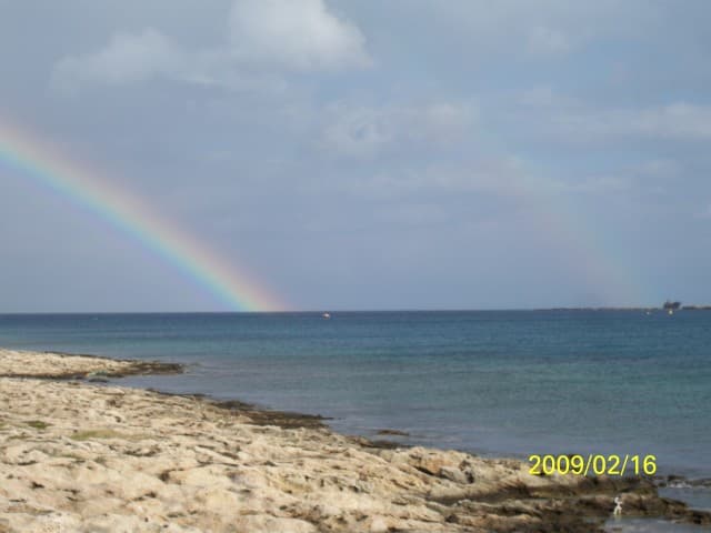 User Photo