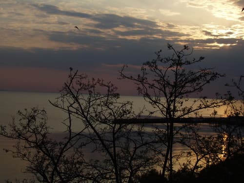 User Photo