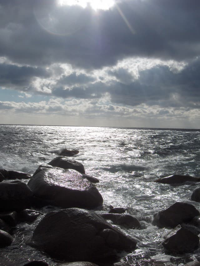 User Photo