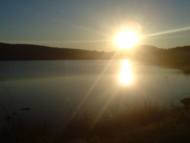User Photo