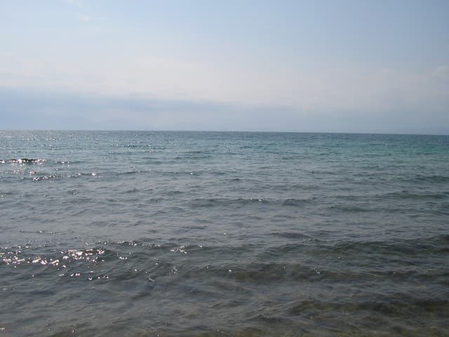 Elia_Thalassa