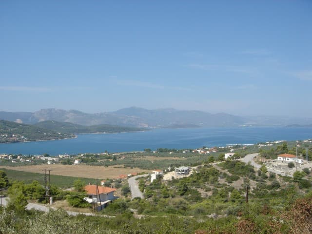 malesina