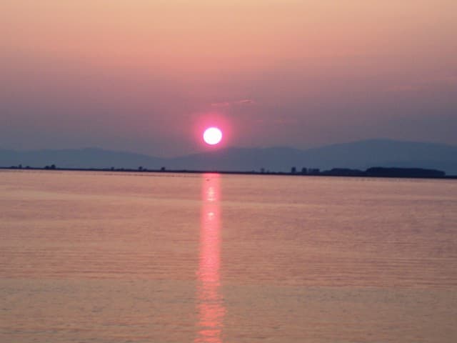User Photo
