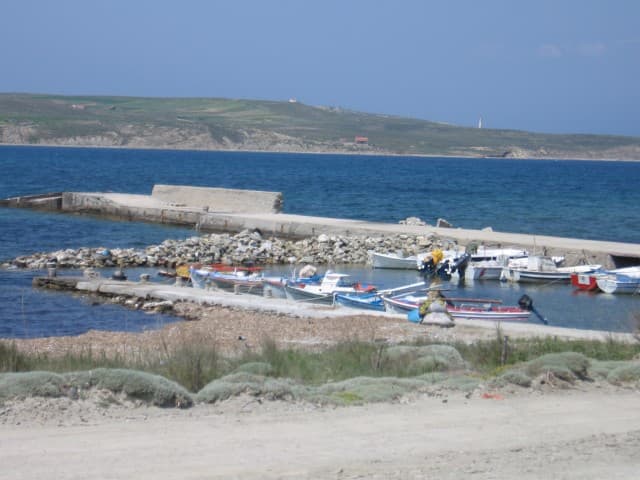 User Photo