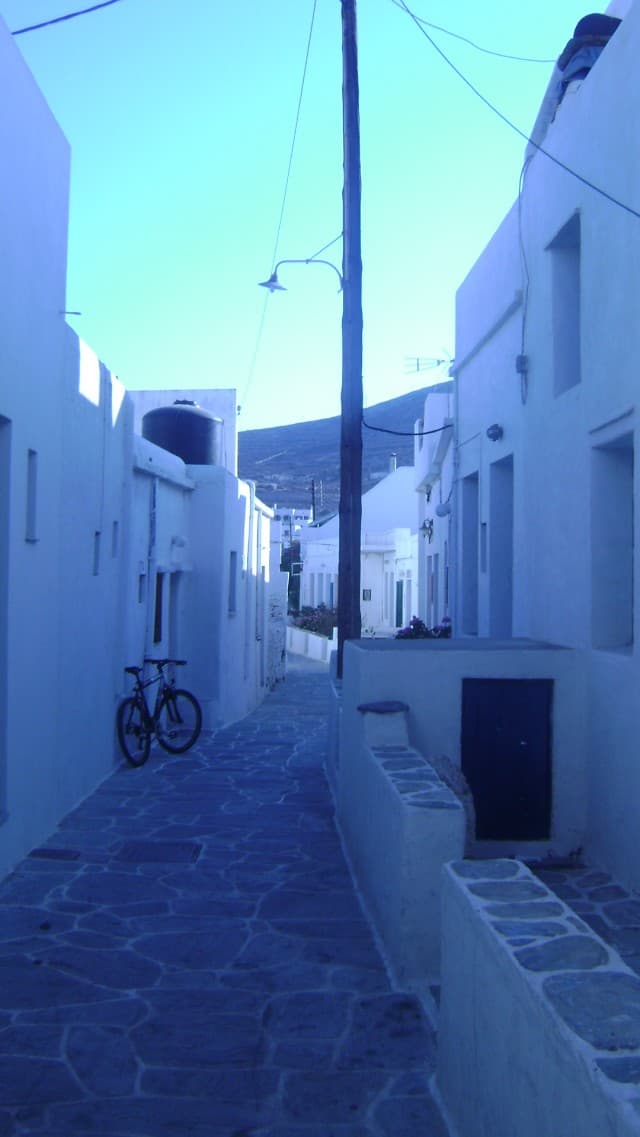 User Photo
