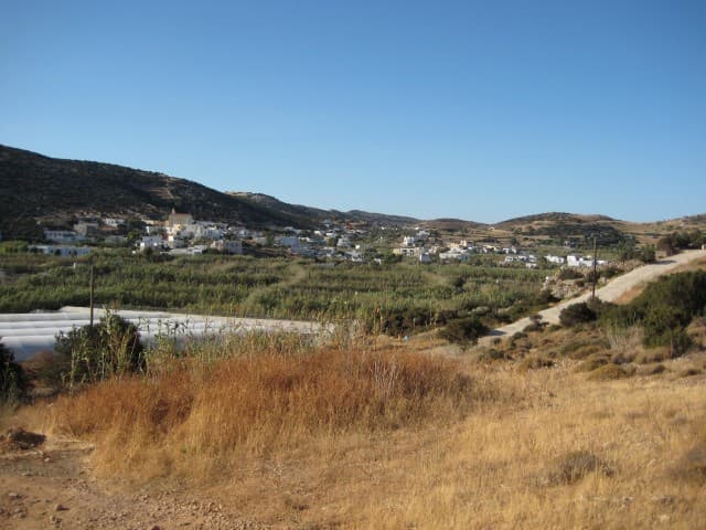 User Photo