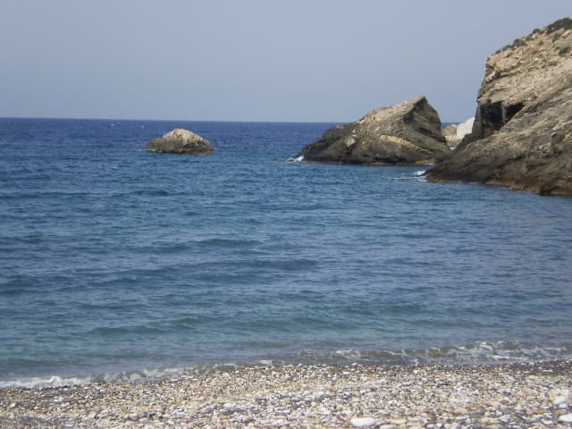 lionasnaxos