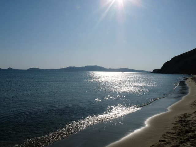 User Photo