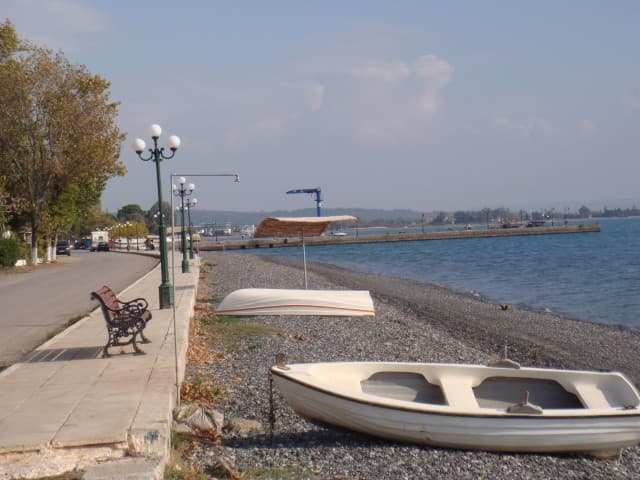 User Photo
