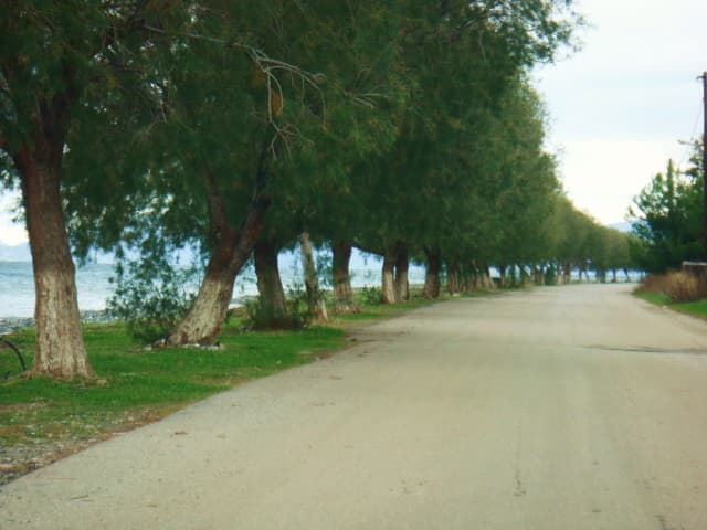 User Photo