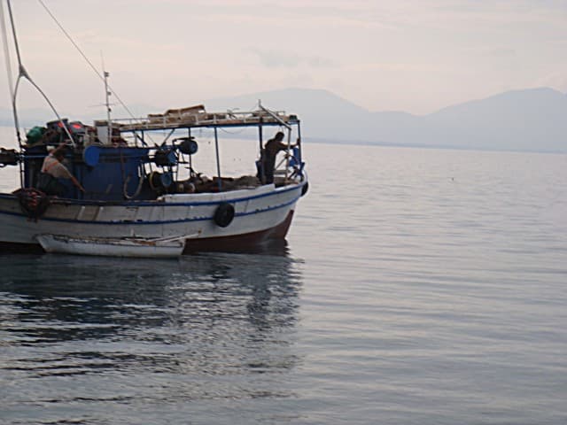 User Photo