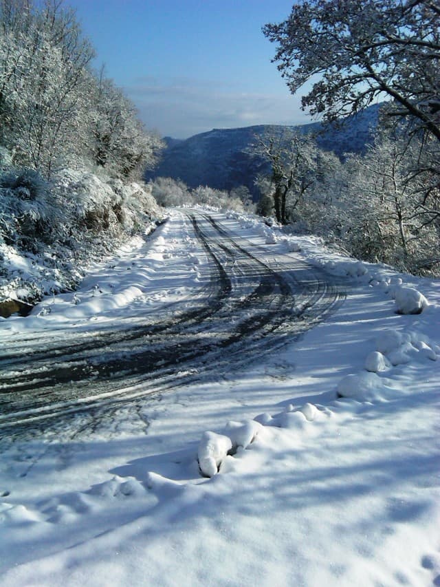 User Photo