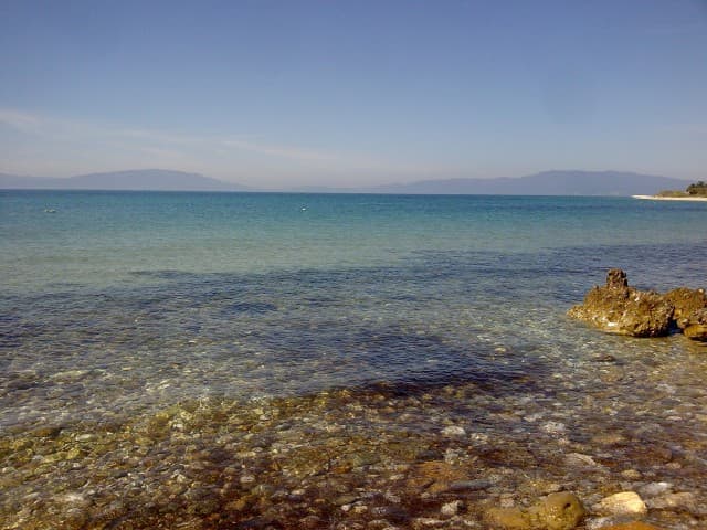 User Photo