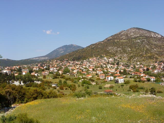 User Photo