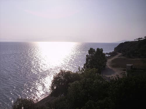 User Photo