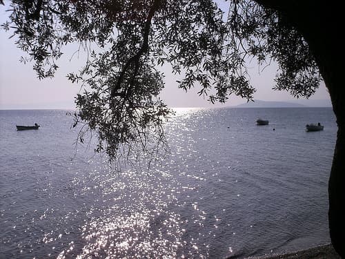 User Photo