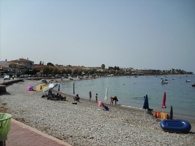 User Photo