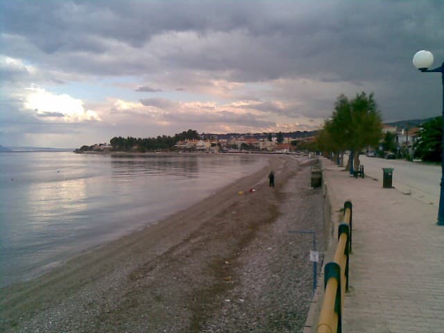 User Photo