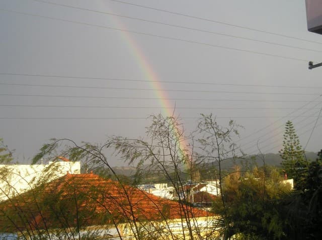 User Photo