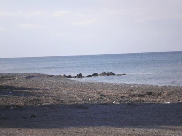 User Photo