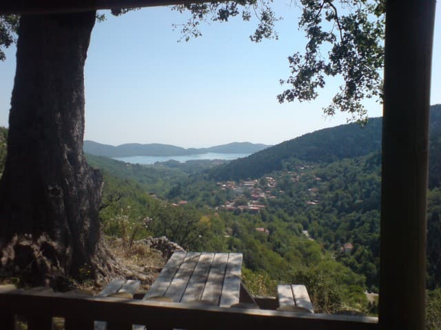 User Photo