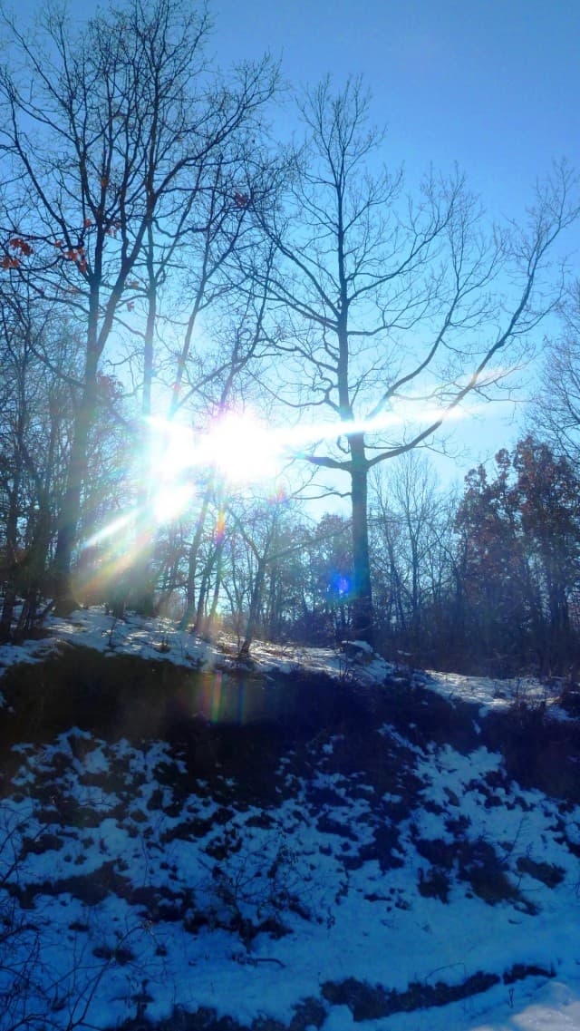 User Photo