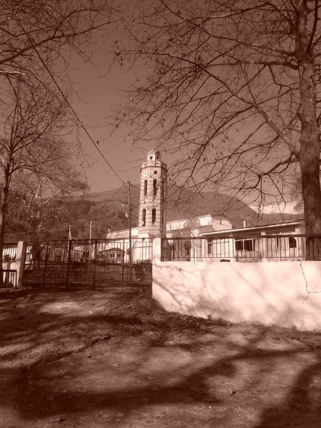 User Photo