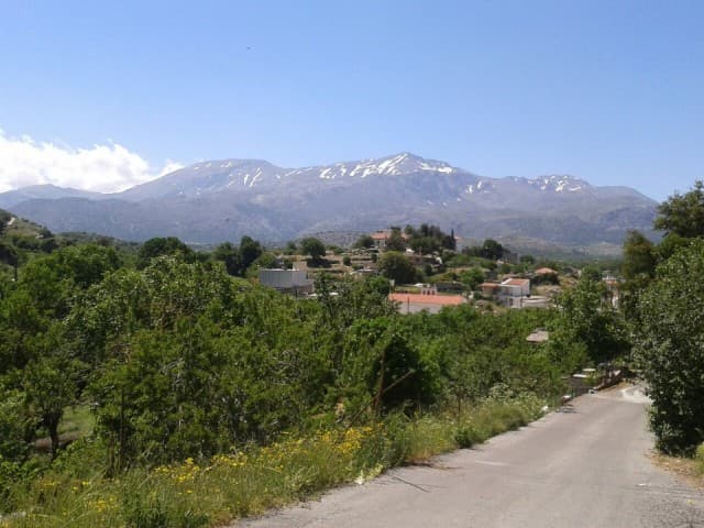 User Photo