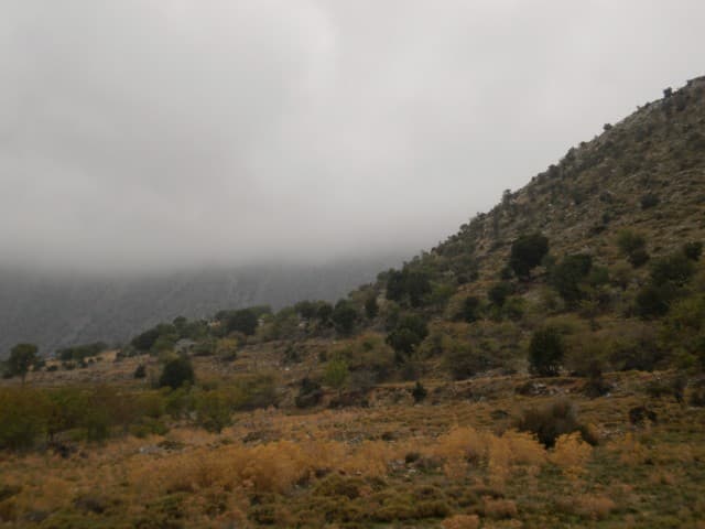 User Photo