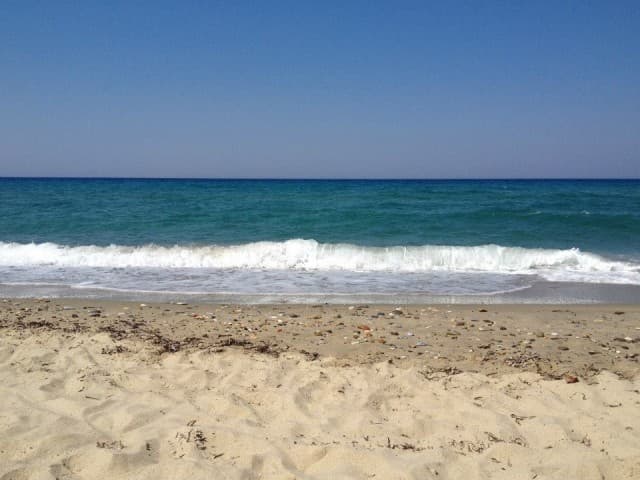 User Photo