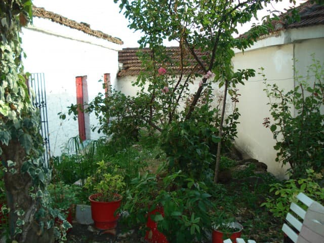 User Photo