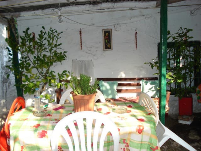 User Photo