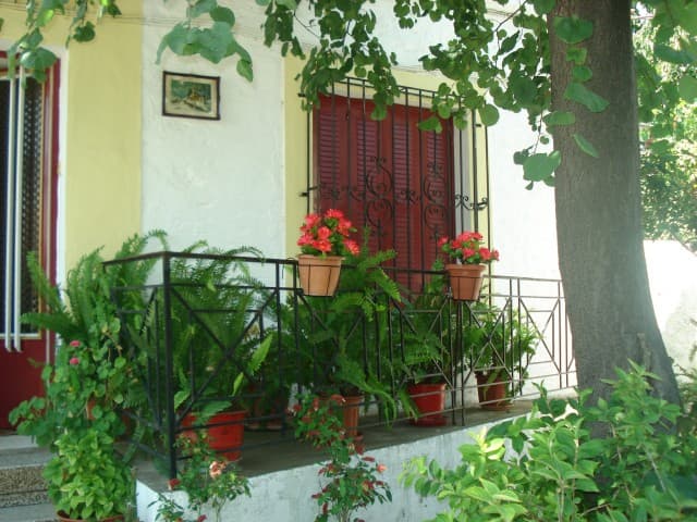 User Photo