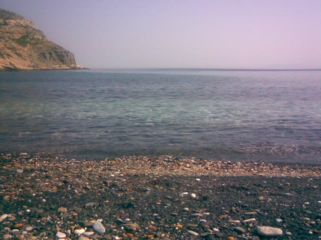 User Photo