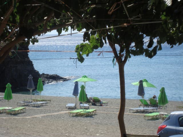 User Photo