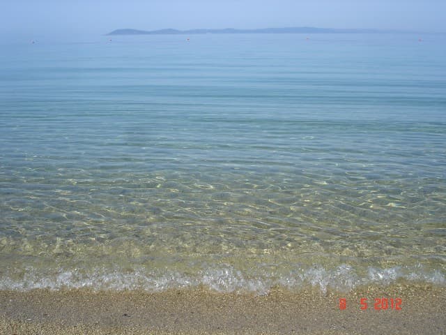 Toroni