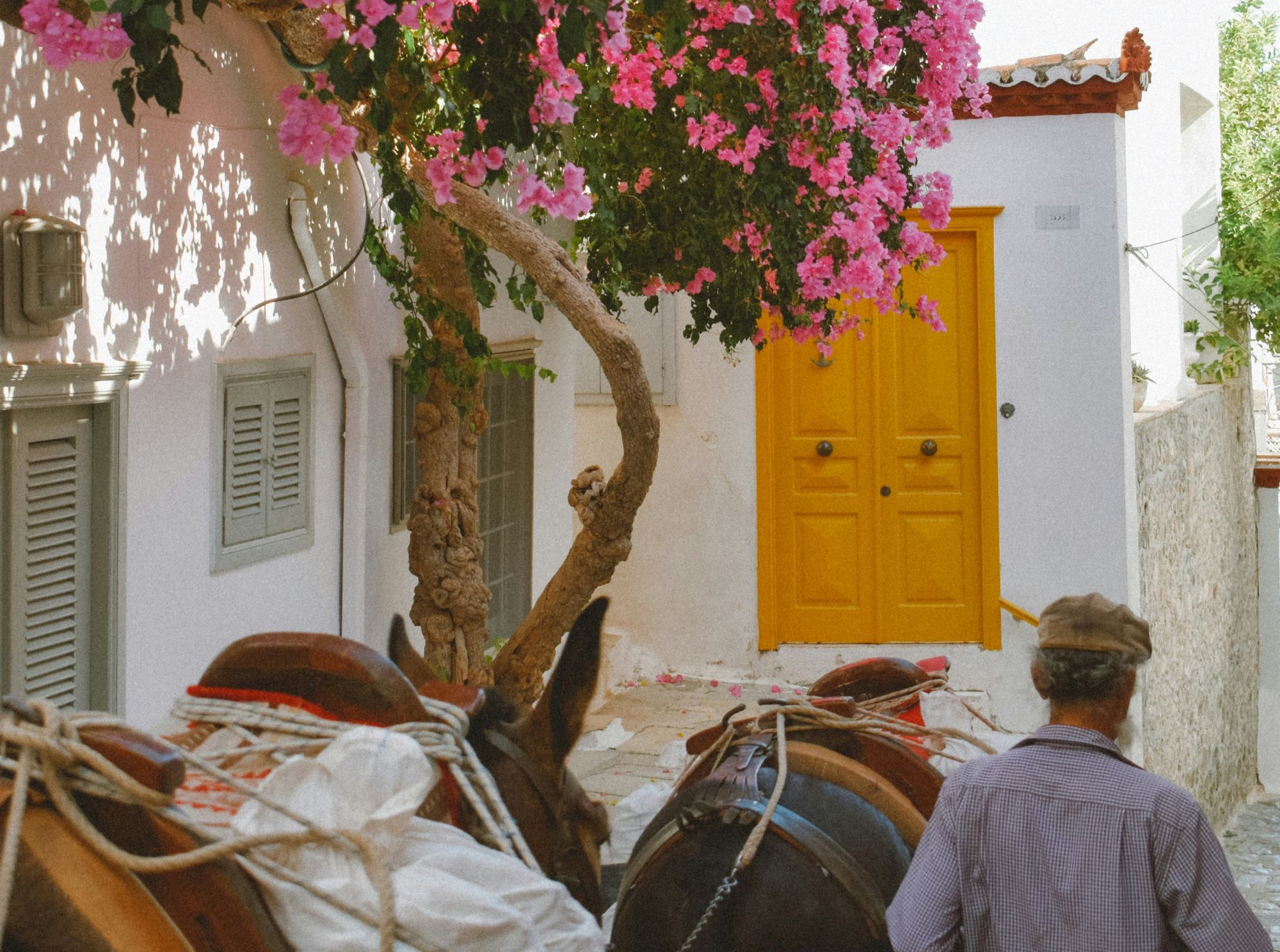 Culture - Tradition