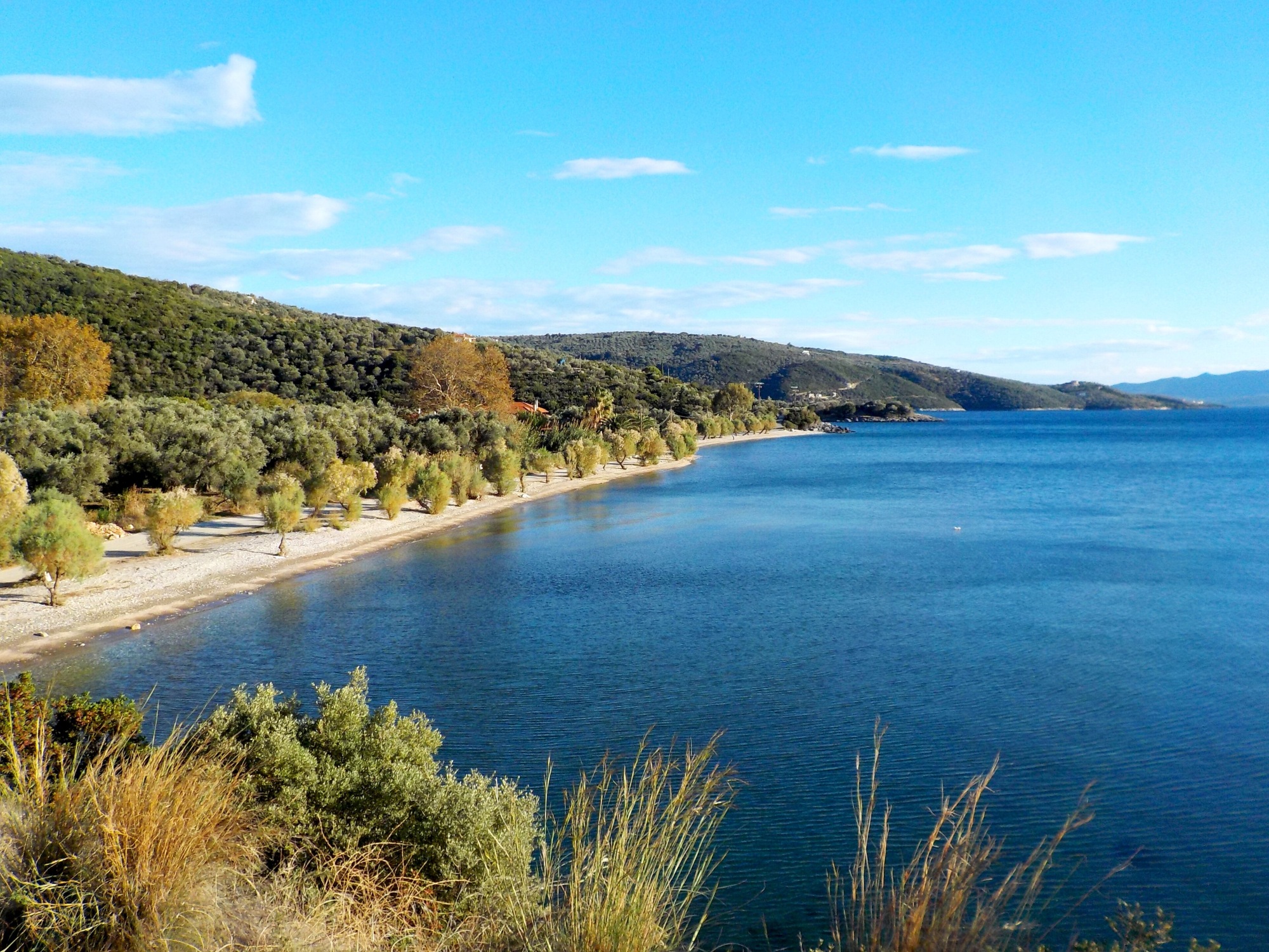 About Pelion